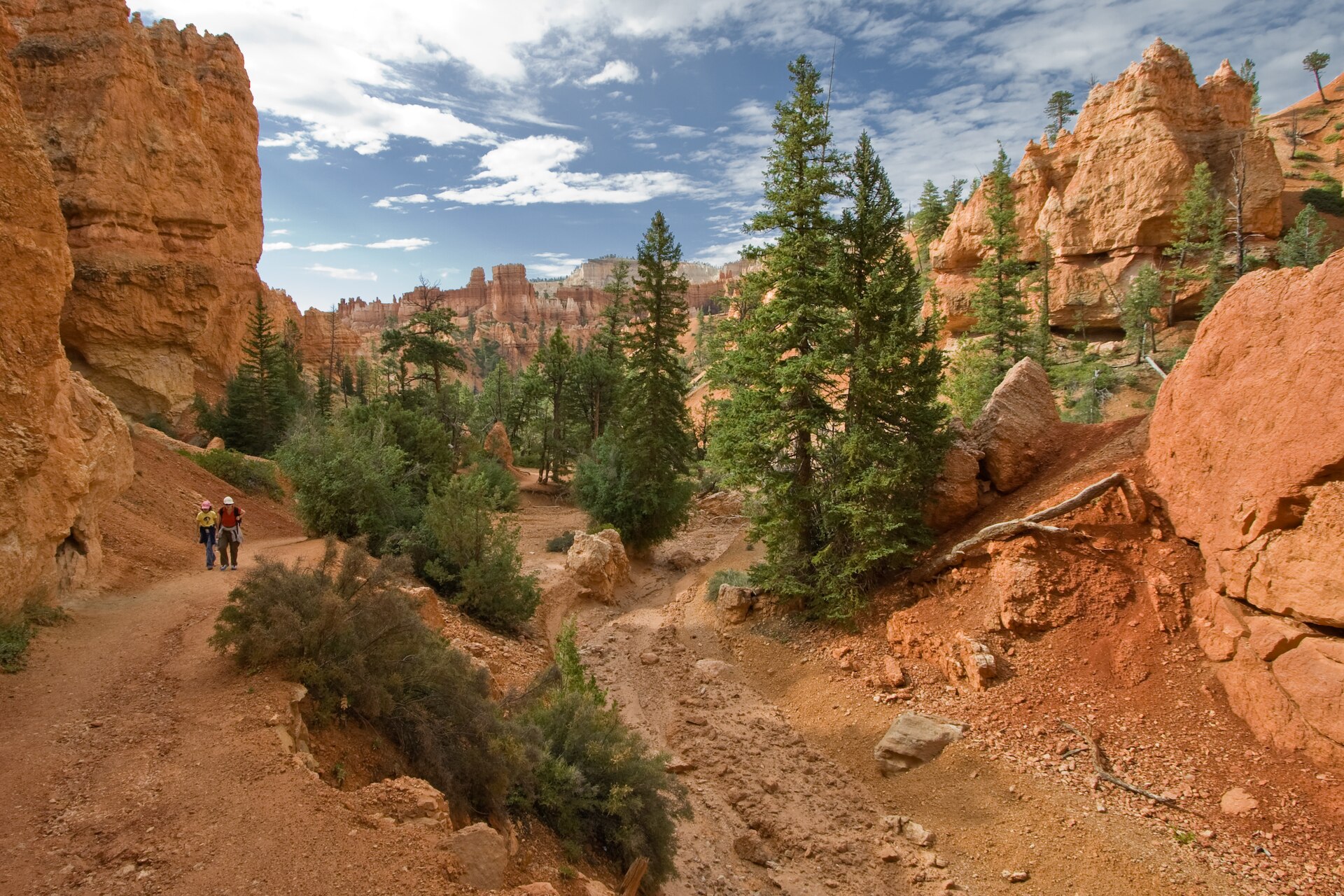 Navajo Loop Trail (Bryce Canyon)