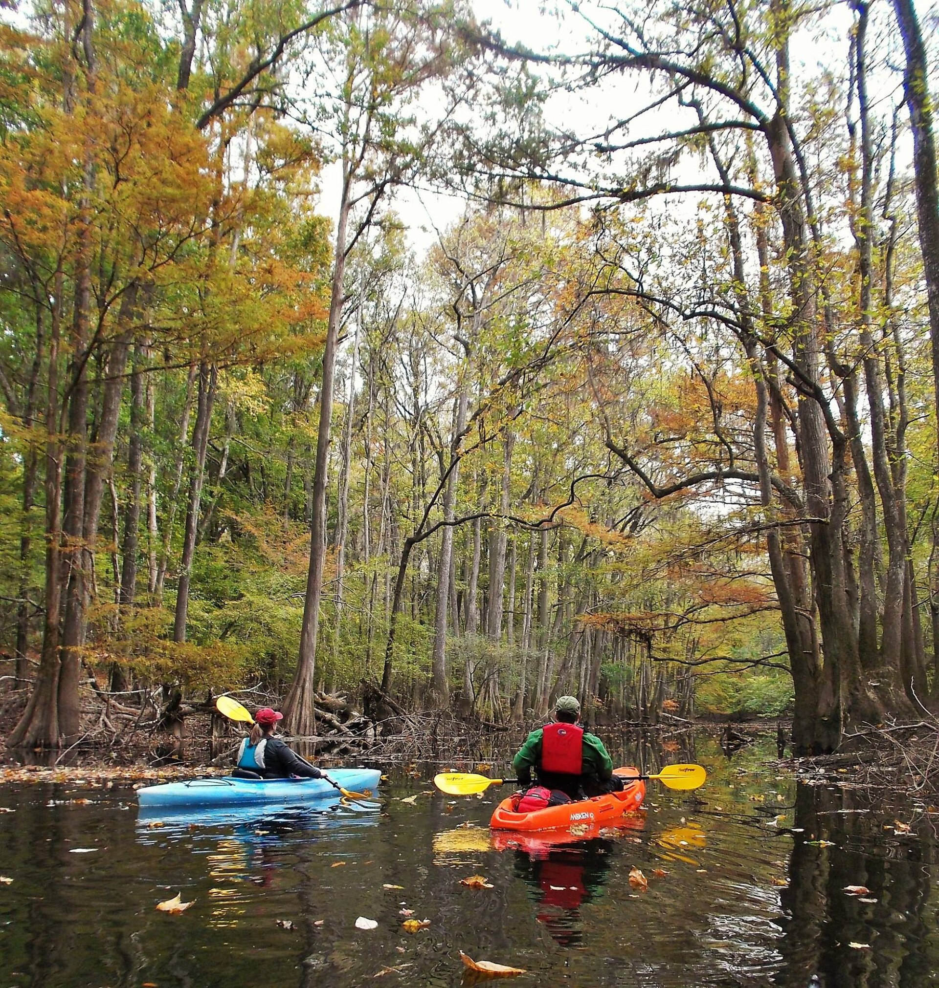 Congaree National Park