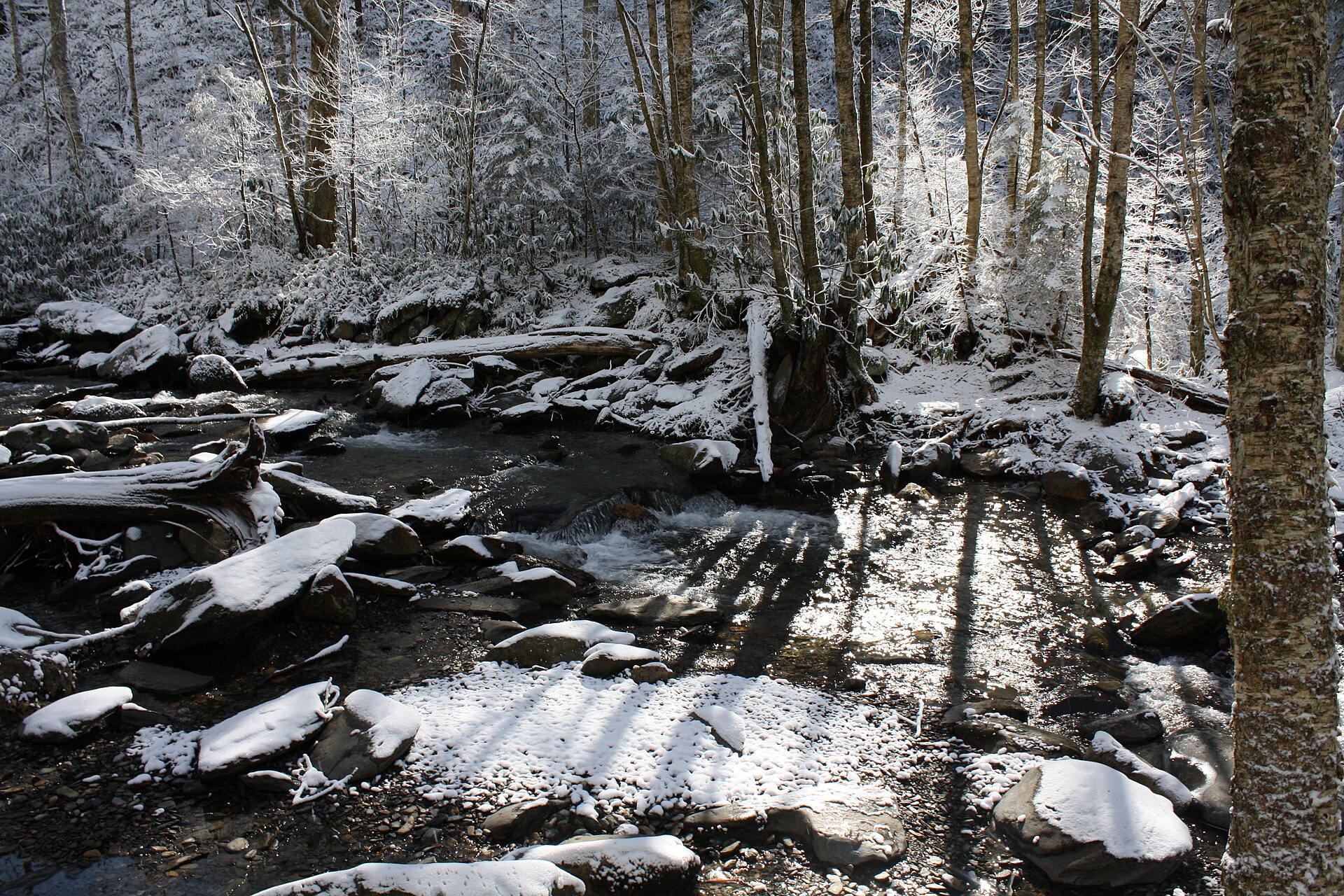 Alum Cave Trail (Great Smoky Mountains)