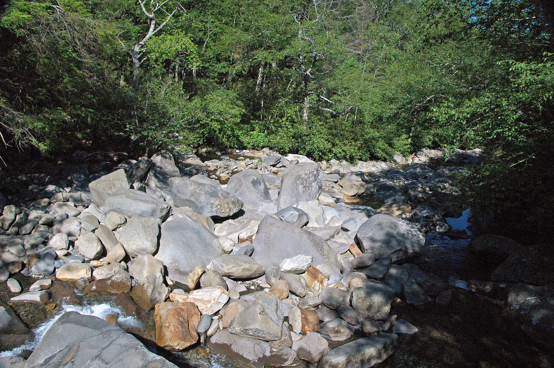 Chimney Tops Trail (Great Smoky Mountains)