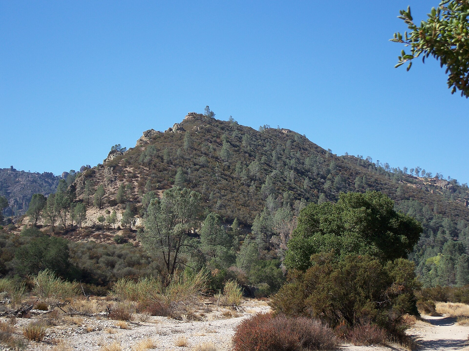 Moses Spring Trail (Pinnacles National Park)