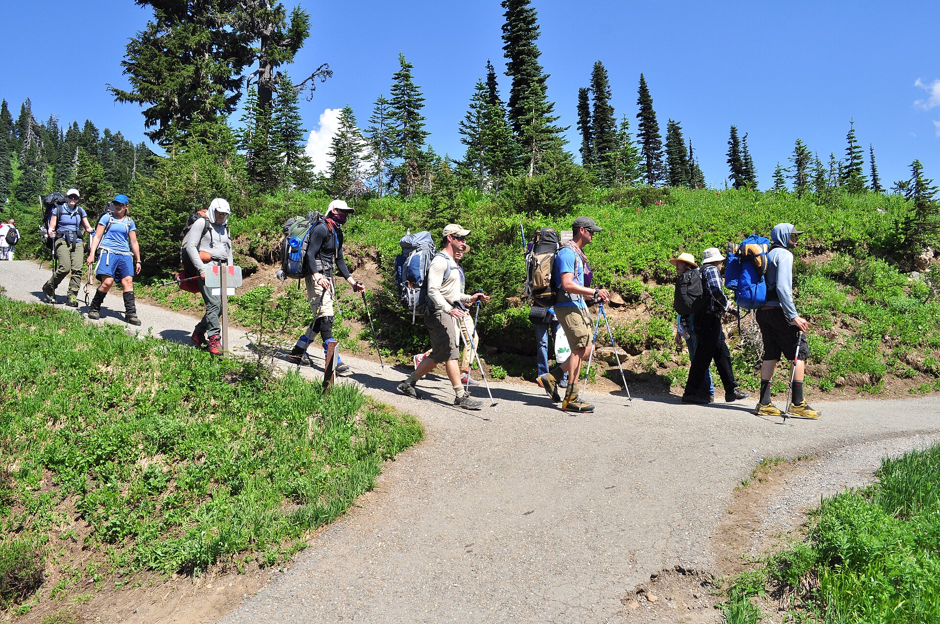 Skyline Trail (Mount Rainier)